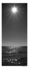 La stella del mare