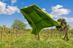Verde su Verde
