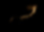 From the dark...