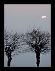 Non andare via