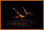 Equilibrio d'Amore