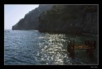 Stelle marine