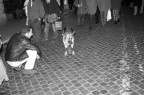 Data: 22/11/2003
Luogo: Roma
Camera: Nikon E5700
Apertura: f/2.8
Esposizione: 1/60
Bias: 0ev
Lunghezza focale: 35mm
ISO: 200