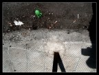 Una storia d'estate