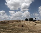 campagna fianese