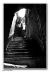 Luce