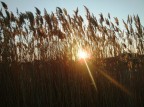 tramonto tra "le canniole"