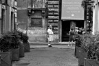 il/la fiammingo/a