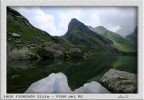 preparazione per le olimpiadi &quot;ITTICHE ALPINE!!