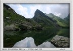 involantariamente metre riprendevo questo lago di montagna....nel fotogramma  saltato dentro un bel pesciolino....
Lago Fiorenza 2111m, Pian del Re (Cn)