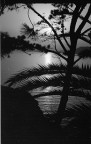 Pentax Mx 50mm f1,7 Ilford FP4