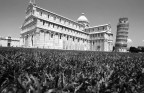 piazza dei miracoli piazza dei miracoli