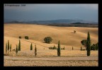 CONTRASTI