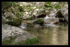 Ruscello
