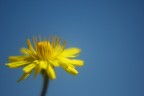 Verso il cielo