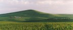 La primavera in Basilicata
(2004)
