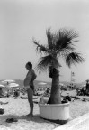 Al mare