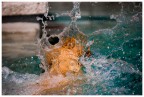 *splash*