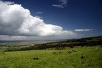Green Ireland 2