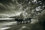 Racconigi (Cn), il parco