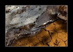 acqua