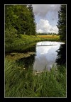 Lago Mara