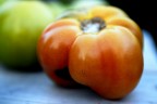Tomato