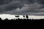tiempo en cuba