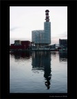 Narcisismo industriale....