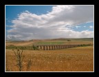 ...CAMPI...