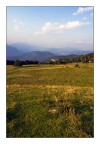 La Quercia