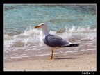 Realizzata con fuji s5600