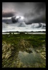 Verso il mare