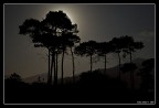 La mia prima immagine su photo4u!

Suggerimenti e critiche sempre ben accetti