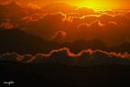 alba