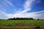 Il prato, gli alberi ed il cielo azzurro