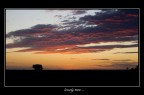 tramonto..di un albero solitario..