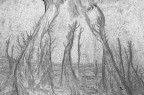 Una foresta sulla sabbia