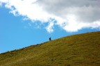 in perfetta solitudine