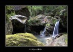 casoli