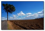 Terre trasimene 1