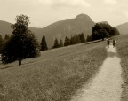 sono i miei tentativi di paesaggio e viraggio
non so se sono una buona accoppiata :-)