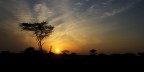 Ecco il tiepido sole dell'alba tanzana che prepotentemente ma silenziosamente in pochi minuti si erge solitario nell'infinito cielo africano.