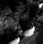 Acqua orfana
