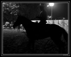 eventi western tutti da vivere
