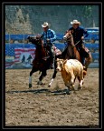 eventi western tutti da vivere
