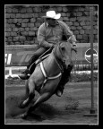 eventi western tutti da vivere