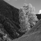 Luce e ombra 02