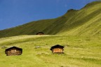 Malghe 01