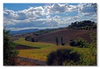 Terre trasimene 3